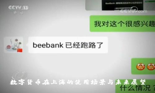 数字货币在上海的使用场景与未来展望