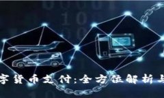 银行的数字货币支付：全方位解析与未