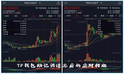 TP钱包助记词遗忘后的应对措施