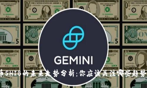 数字货币SHIB的未来走势分析：你应该关注哪些趋势与机会？