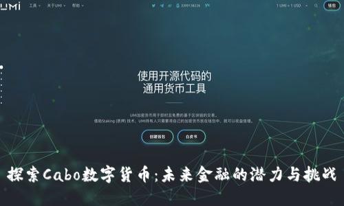探索Cabo数字货币：未来金融的潜力与挑战