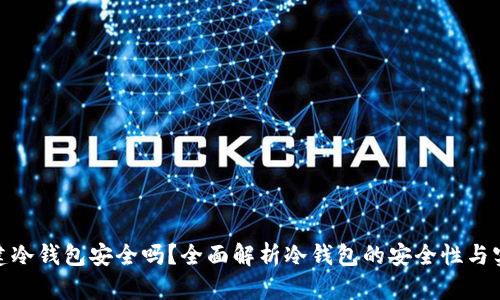 Tp创建冷钱包安全吗?全面解析冷钱包的安全性与实用性