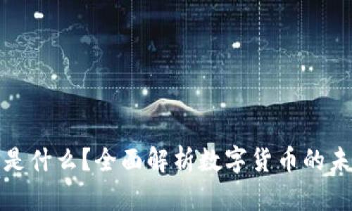 数字货币是什么？全面解析数字货币的未来与挑战
