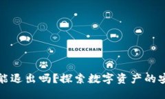 以太坊钱包能退出吗？探索数字资产的