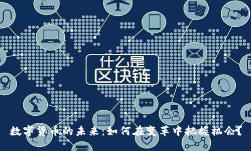 数字货币的未来：如何在变革中把握机会？