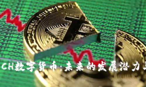 全面解析BCH数字货币：未来的发展潜力与投资机会