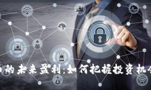 数字货币的未来盈利:如何把握投资机会与风险