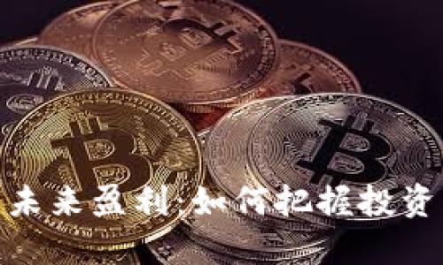 数字货币的未来盈利:如何把握投资机会与风险