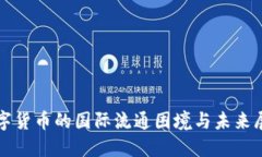 数字货币的国际流通困境与未来展望