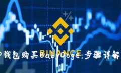 如何通过TP钱包购买BabyDoge：步骤详解