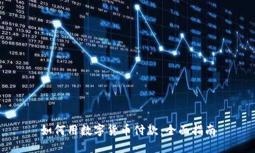 如何用数字货币付款:全面指南