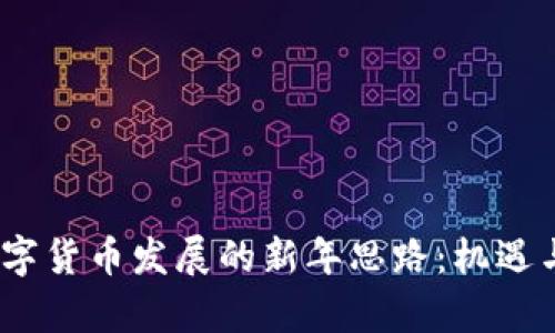 2024年数字货币发展的新年思路:机遇与挑战并存