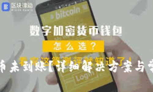 : TP钱包提币未到账？详细解决方案与常见问题解析