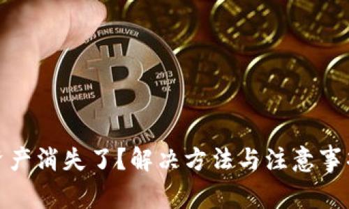 TP钱包资产消失了?解决方法与注意事项全揭秘