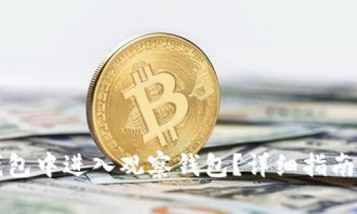 如何在TP钱包中进入观察钱包？详细指南与使用技巧