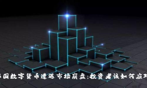 韩国数字货币遭遇市场崩盘:投资者该如何应对?