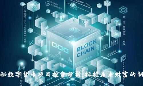 揭秘数字货币项目投资分析：把握未来财富的钥匙