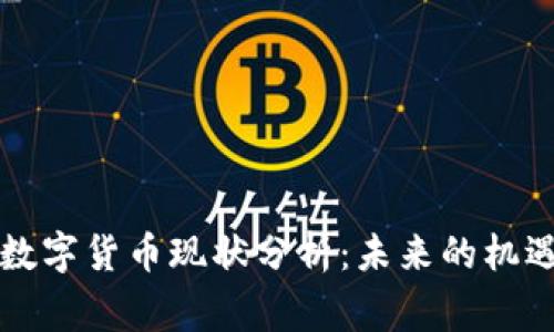 柬埔寨数字货币现状分析:未来的机遇与挑战