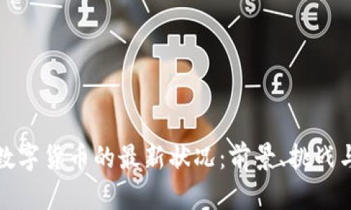 美国数字货币的最新状况：前景、挑战与机遇